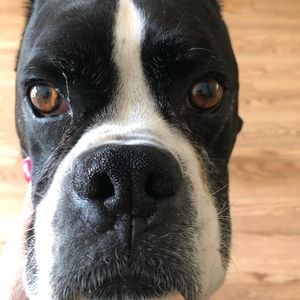 Meet your Posher, Patricia